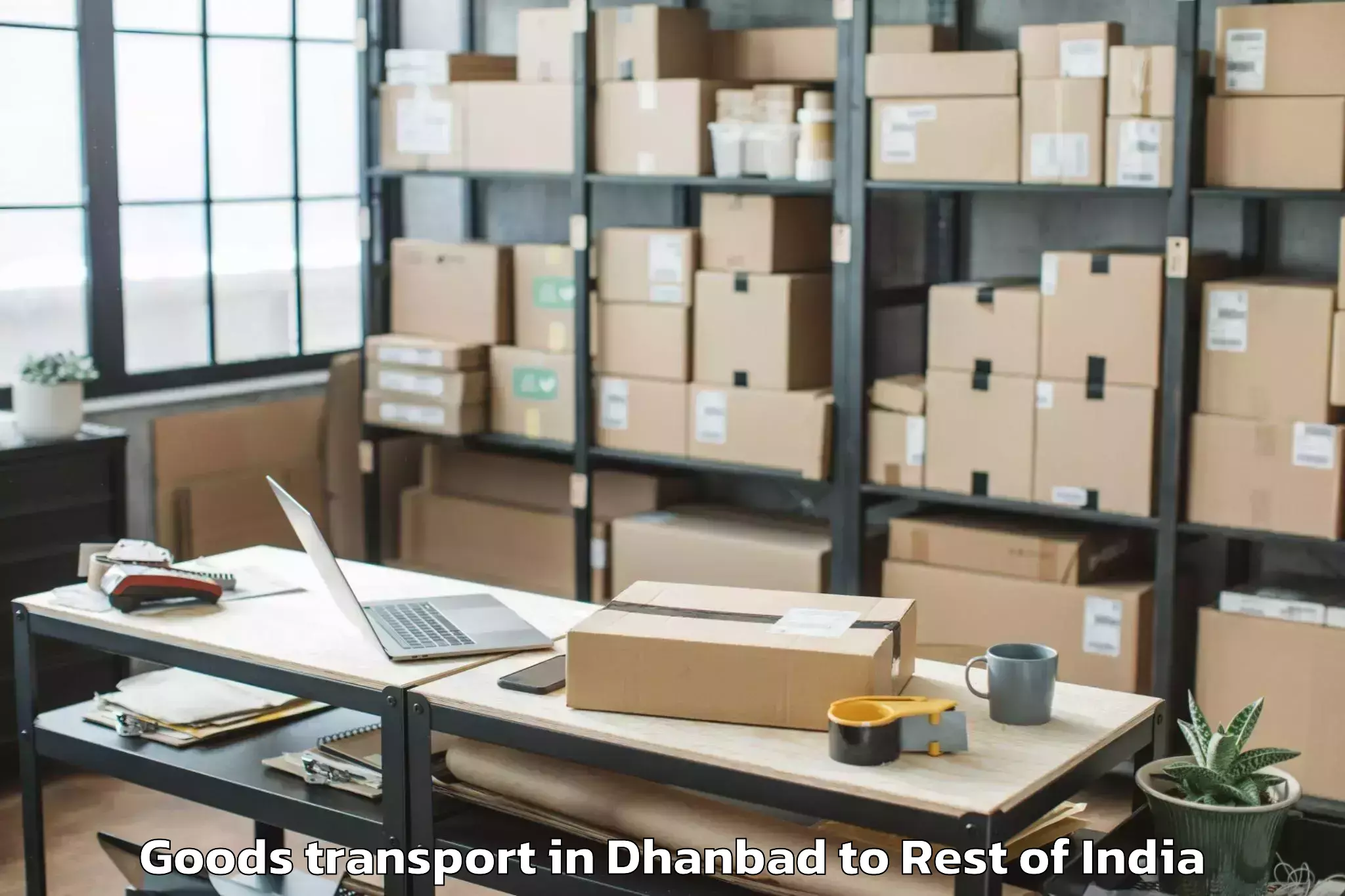 Easy Dhanbad to Ranbir Singh Pura Goods Transport Booking